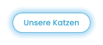 Unsere Katzen