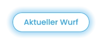 Aktueller Wurf