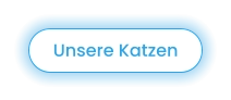 Unsere Katzen